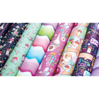 Craft Consortium Fairy Wishes 12x12 Inch Paper Pad (CCPPAD042)